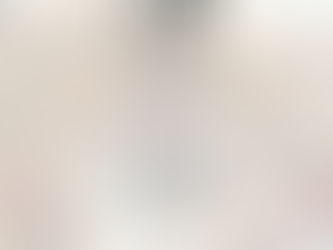 Lime Training Workshop 