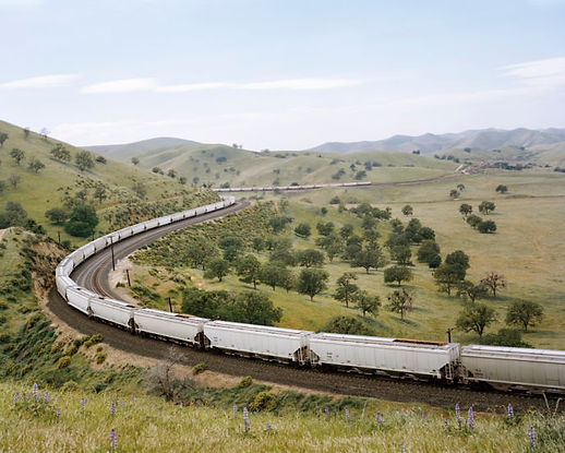 Justine Kurland. Lupin Blossoms, Client Pass