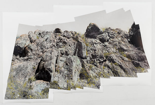 Theresa Ganz. Serpentine Pano