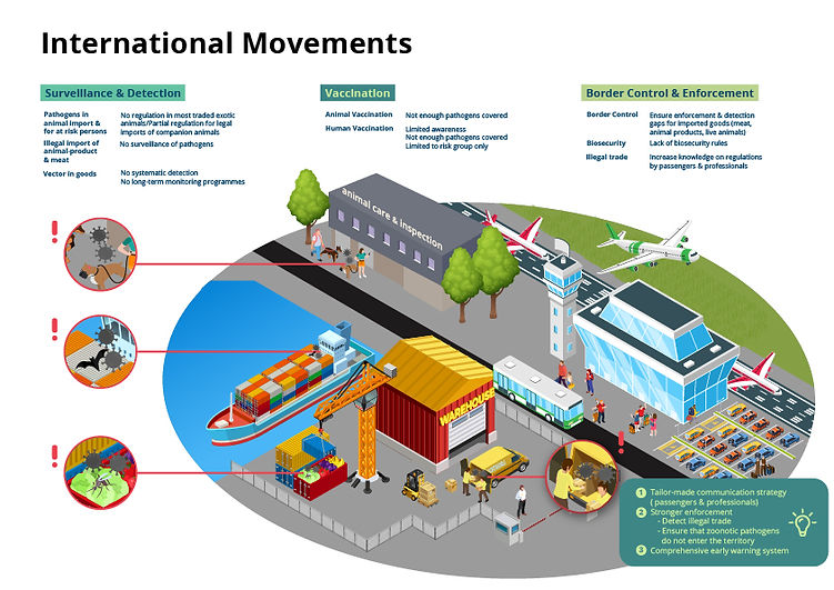 International Movements-100.jpg