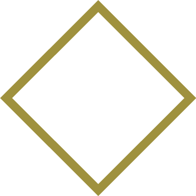 model.gif