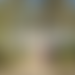 Being Me: Returning to My Roots