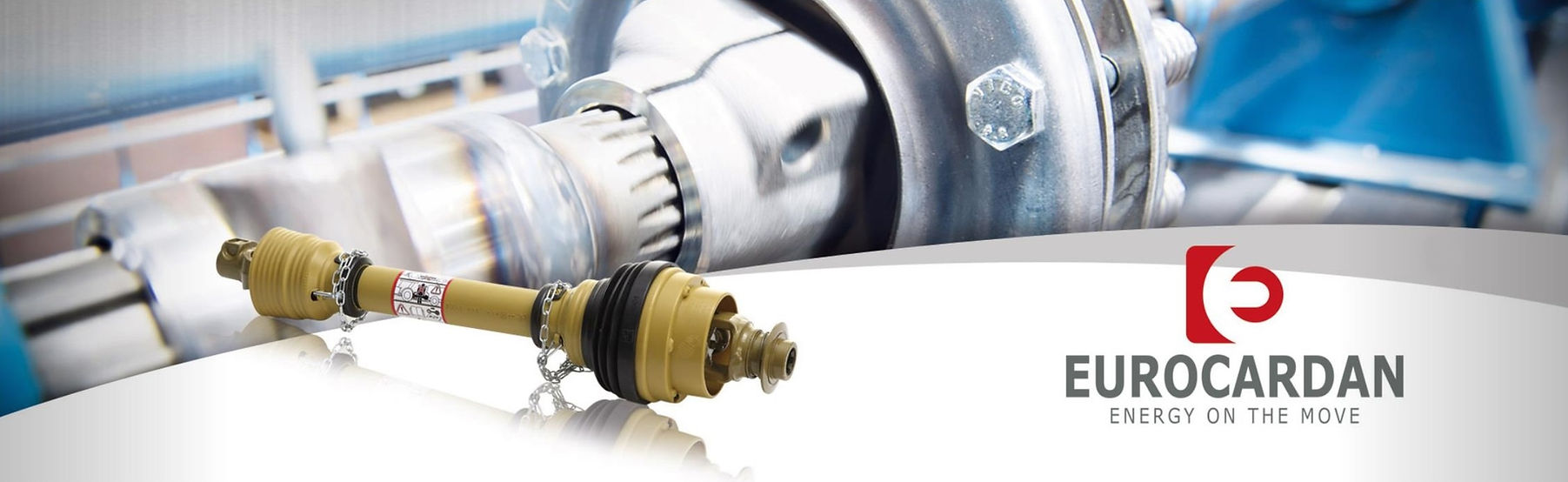 120429041_3330255167087971_8154908635600