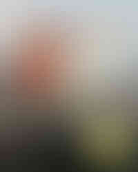 Bauschild für DEA aus dem Jahr 1999