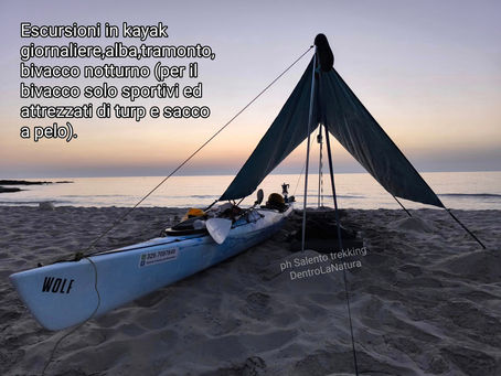 Alba & Breakfast in Kayak