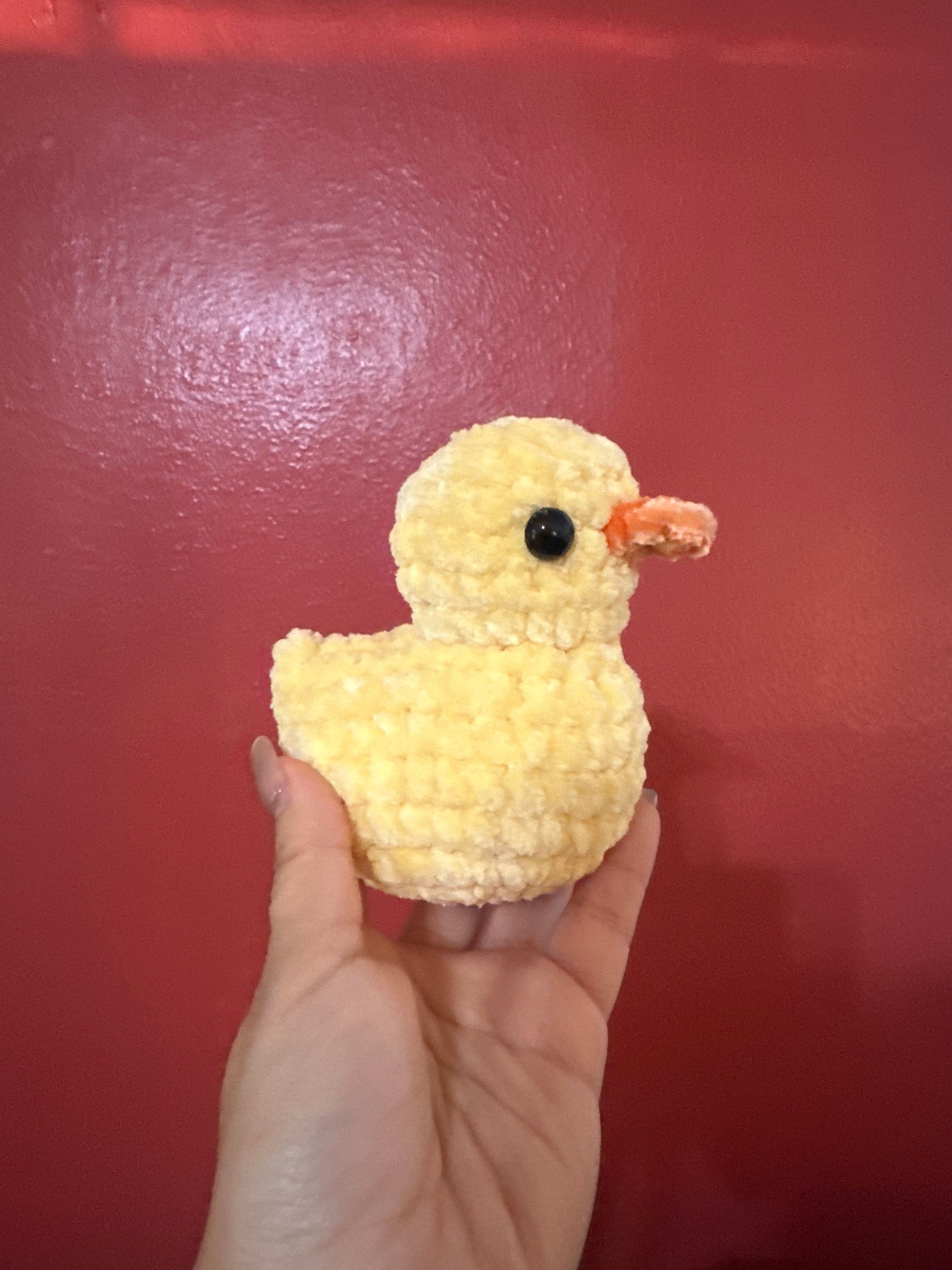 Duck