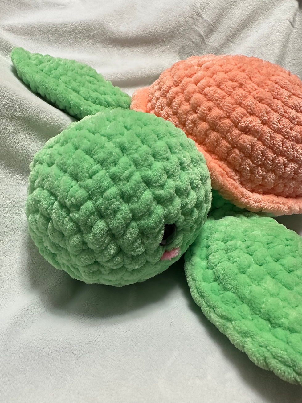 Thumbnail: Turtle