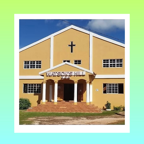 Pink Minimalist New Collection Photo Instagram Post.png