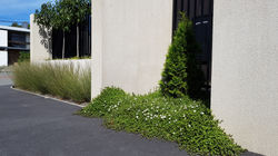 christchurch garden design