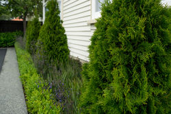 christchurch garden design