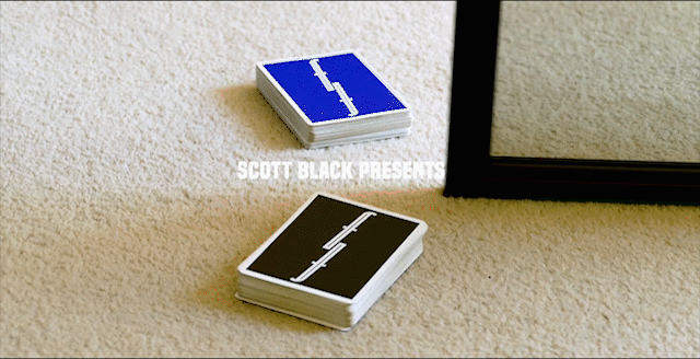 Scott Gif.gif