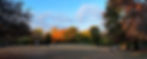 Website_Paws-Place.jpg