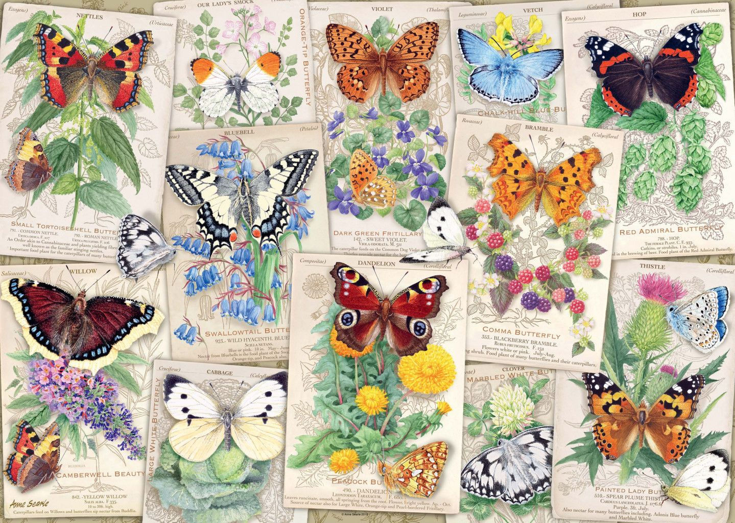 Butterfly Splendour Jigsaw 1000