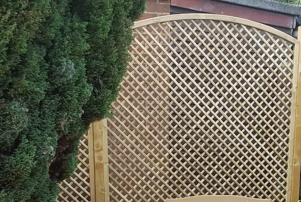 trelis Pats garden main page.webp