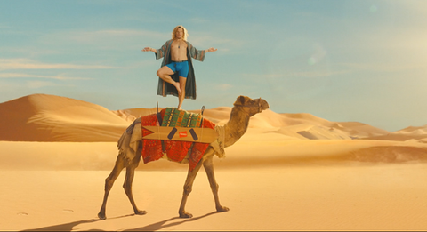 HANES-Desert Oasis
