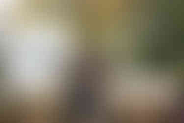 photographe mariage chateau saint Foy d'anthe dordogne cérémonie laique