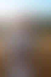 photographe mariage bordeaux