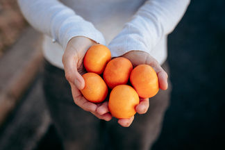 reportage métier bordeaux food entrepreneure