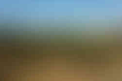 photographe soirée professionnelle Lot-et-Garonne