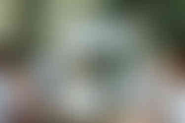 cérémonie laique au domaine au taillan medoc