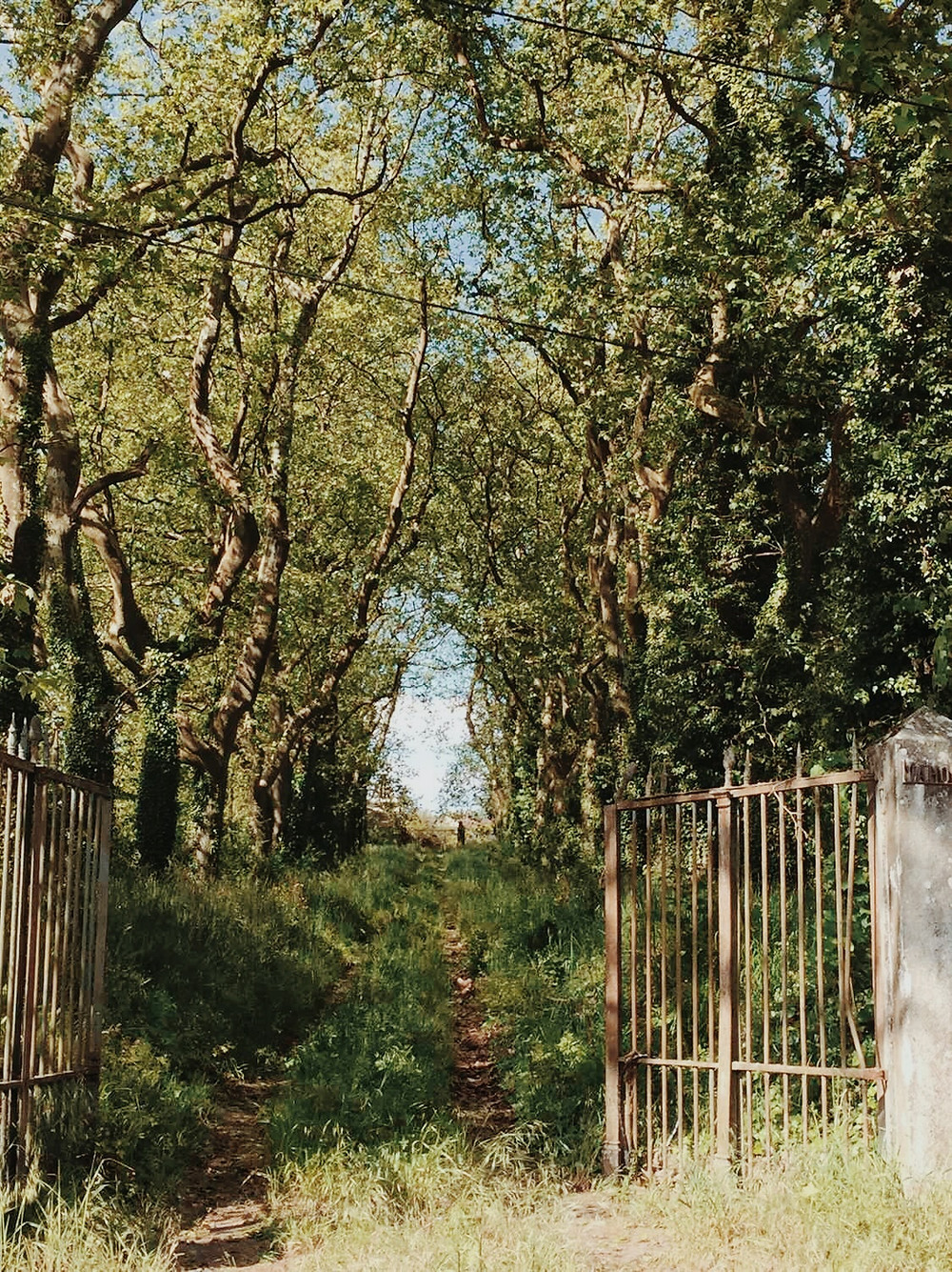 Domaine mahourat