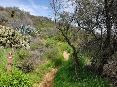 3/14: Rivas Canyon Trail w/ Andrew Stewart