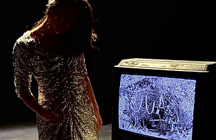 Skärmavbild 2020-11-05 kl. 18.30.58.png