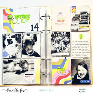 Remember today Wk14 PL | Sarah Wyles