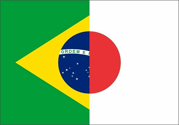 bandeira brasil-japão.jpg