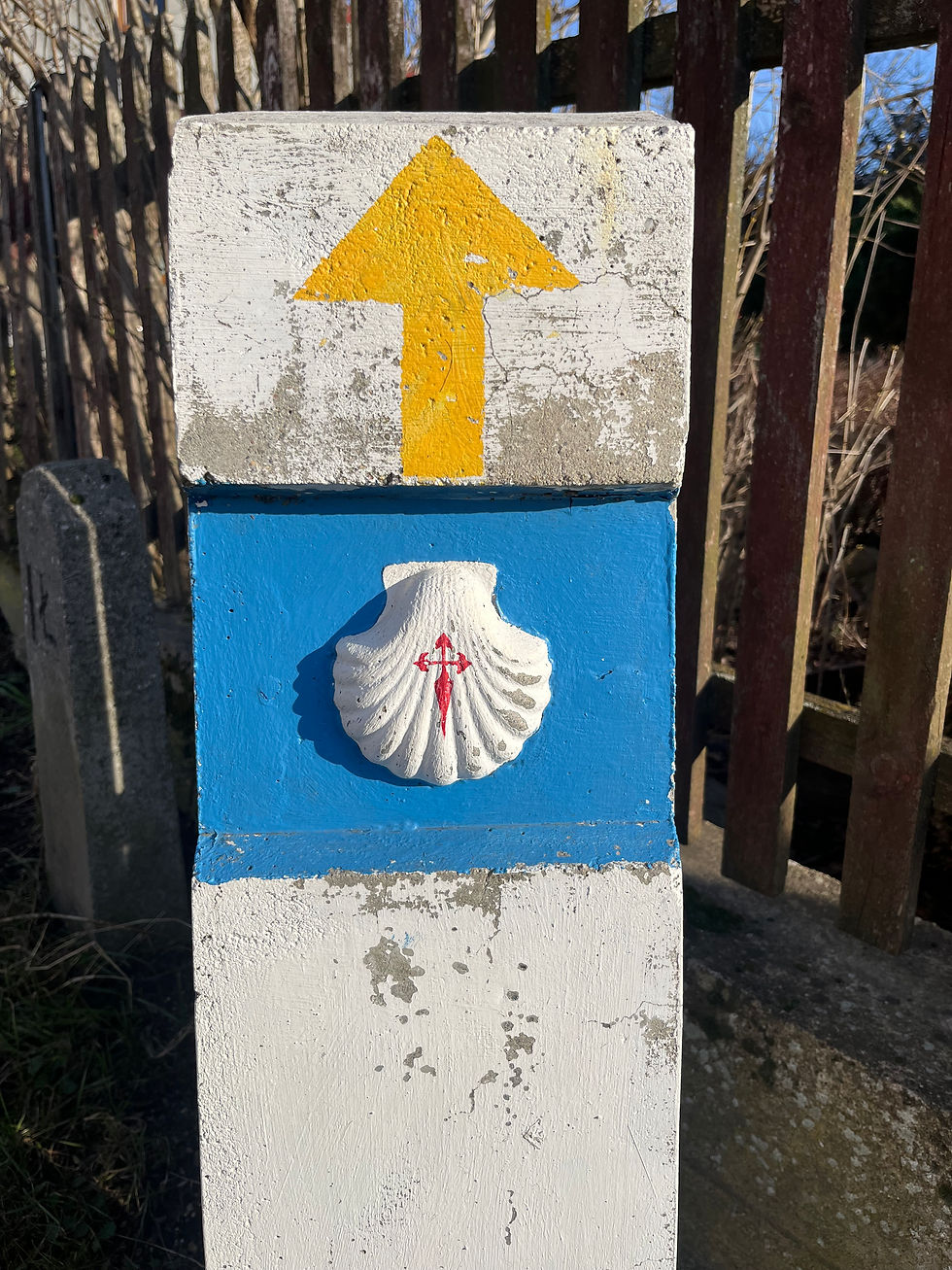 Thumbnail: Wines of Poland – 17 November 2025