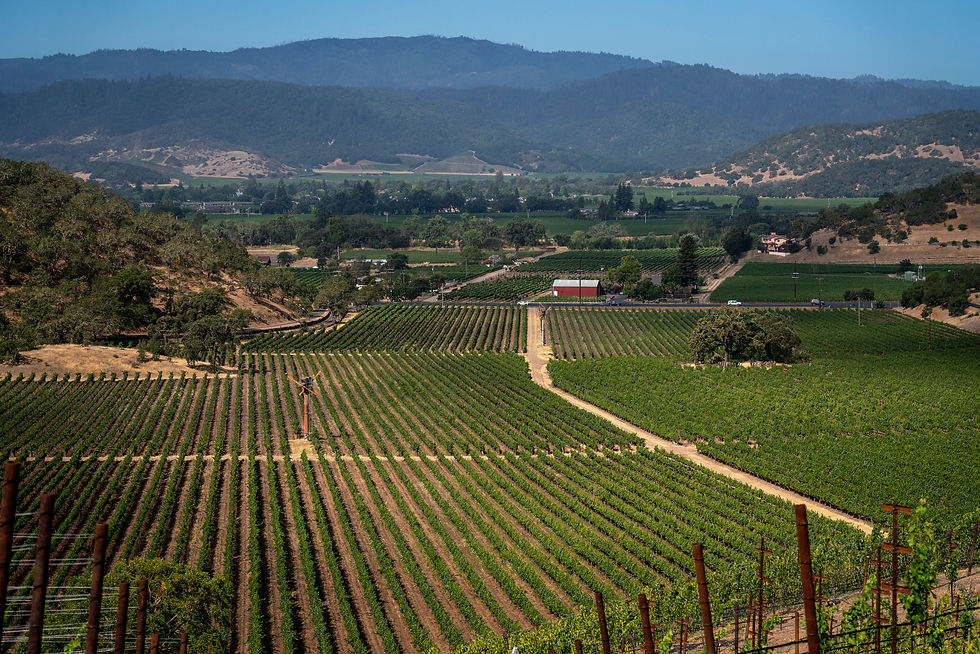 Thumbnail: Napa Valley Uncorked - 12 December 2024