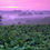 Thumbnail: Wines of the Loire Valley - Part 1 - 07 October 2022