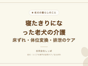 寝たきりになった老犬の介護|床ずれ・体位変換・排泄のケア