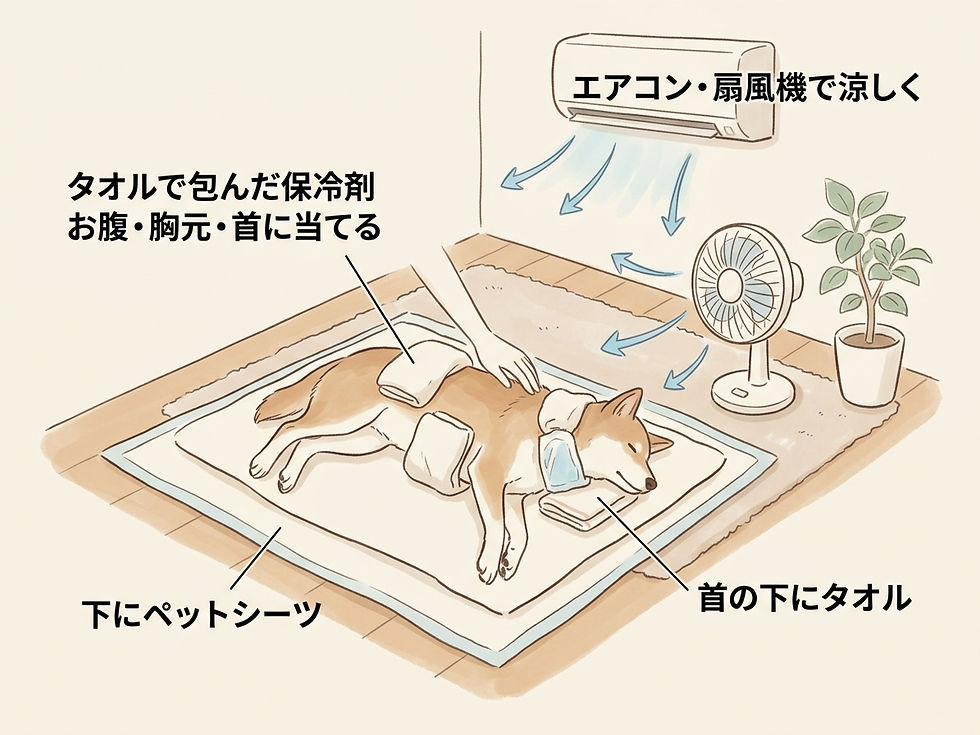 保冷剤はタオル越しに、お腹・胸元・首へ当て、室温も下げておきます。