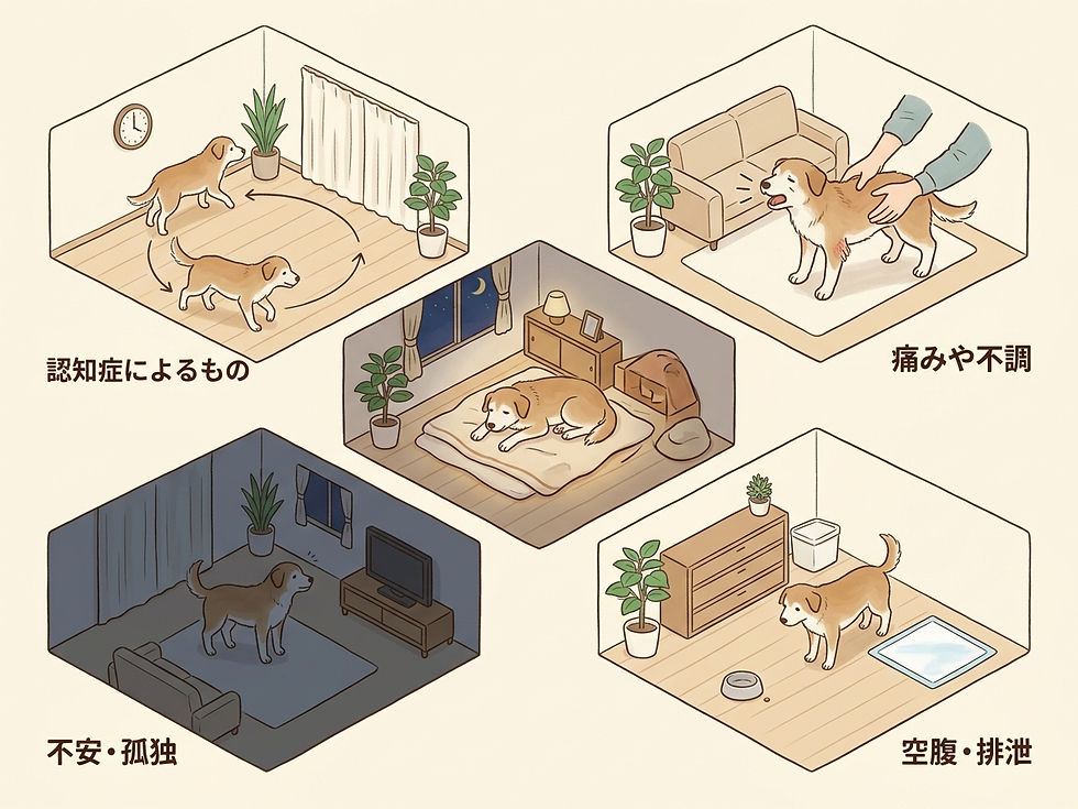 夜鳴きの背景に考えられる四つの原因を分けて示した図。
