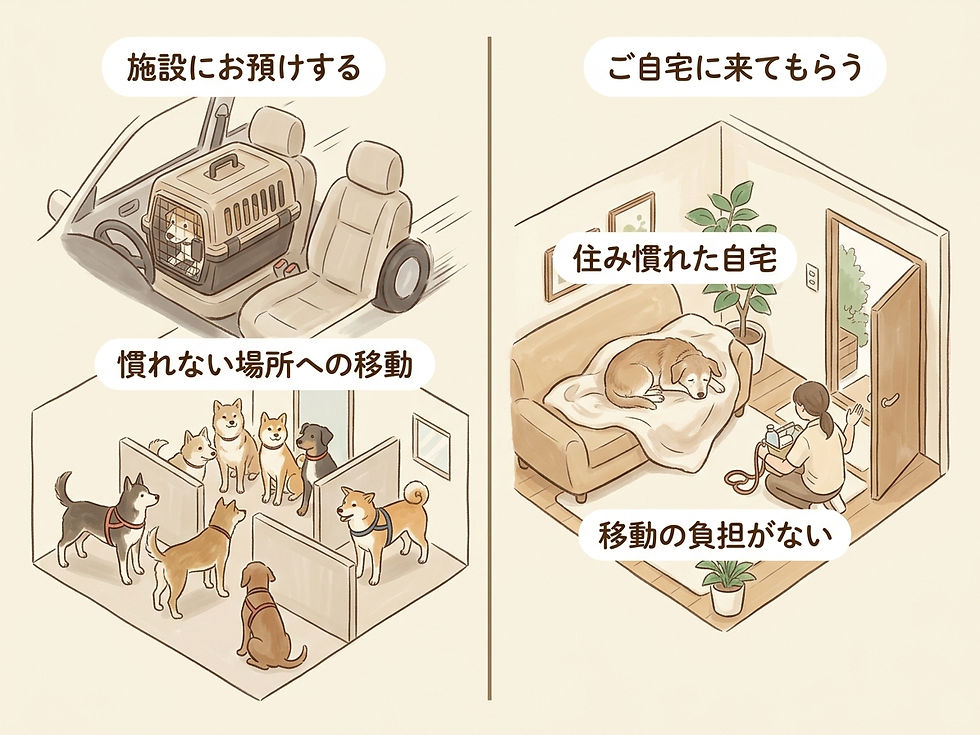 施設に預ける方法と自宅に来てもらう方法の違いを比べた図です。
