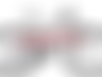 SONDERPREIS - CUBE Stereo ONE55 C:62 race