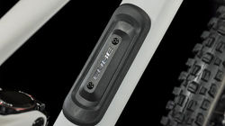 CUBE Stereo ONE55 C62 race