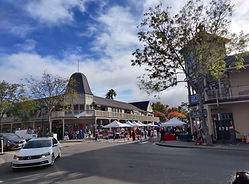 IMG_20211030_101732.jpg