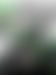 Amazon Infographics: How Eye-Catching Designs Can Skyrocket Your Sales