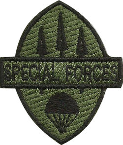 SPECIAL FORCES PATCH (SUBDUED)