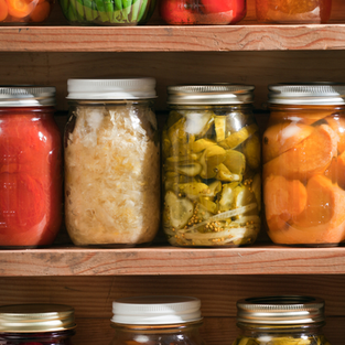Freezing vs. Canning vs. Dehydrating vs. Freeze Drying...and when to use each