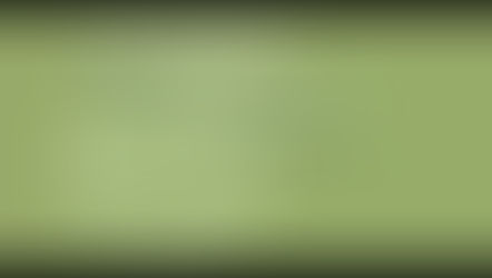 Let's Talk Talk Podcast - TCM-Expertin erklärt!