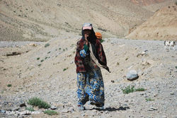 Les nomades des montagnes