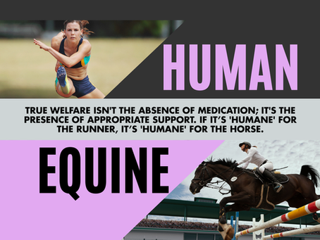 Support or Suspension? Why We Need an Expanded Equine Therapeutic Use Exemption in 2026