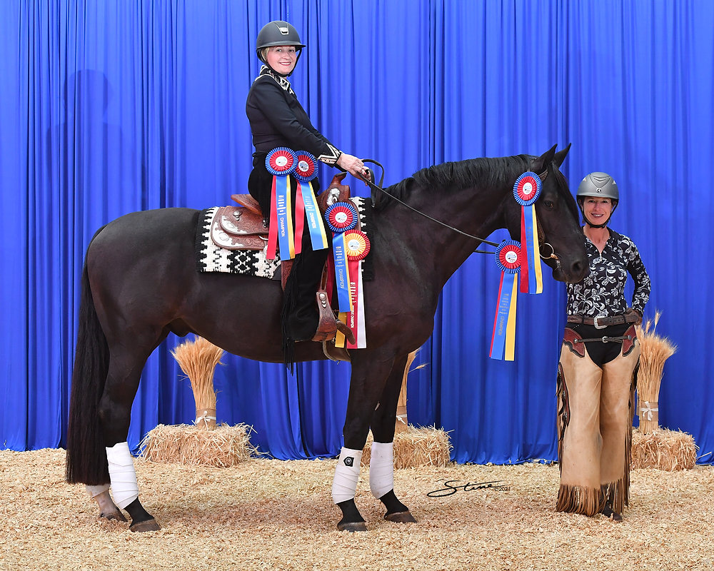 Polish Warmblood Wins 5 World Championship Titles at Western Dressage