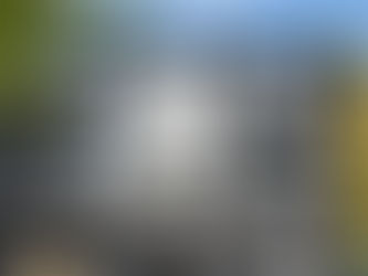 Framed Houses, Squamish BC.