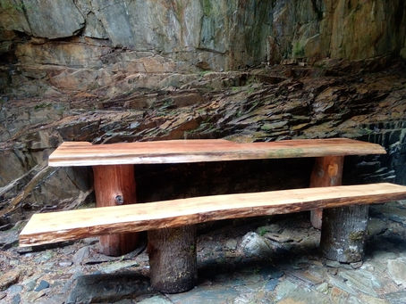 Live edge table - Whistler, BC.
