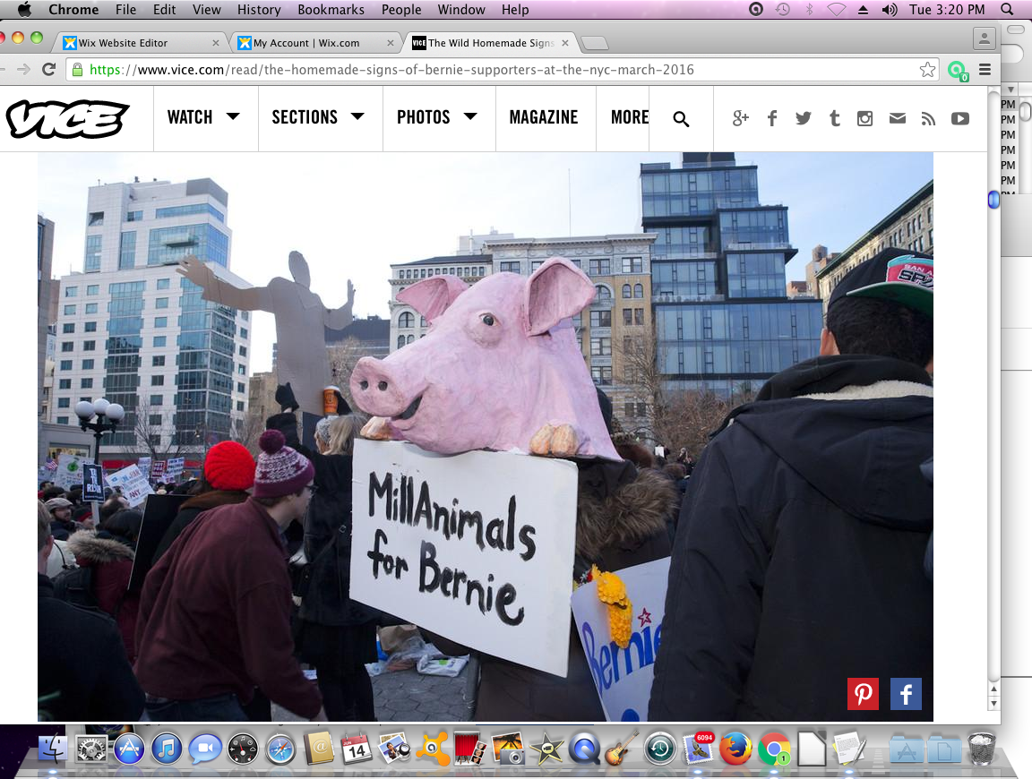 MillAnimals for Bernie