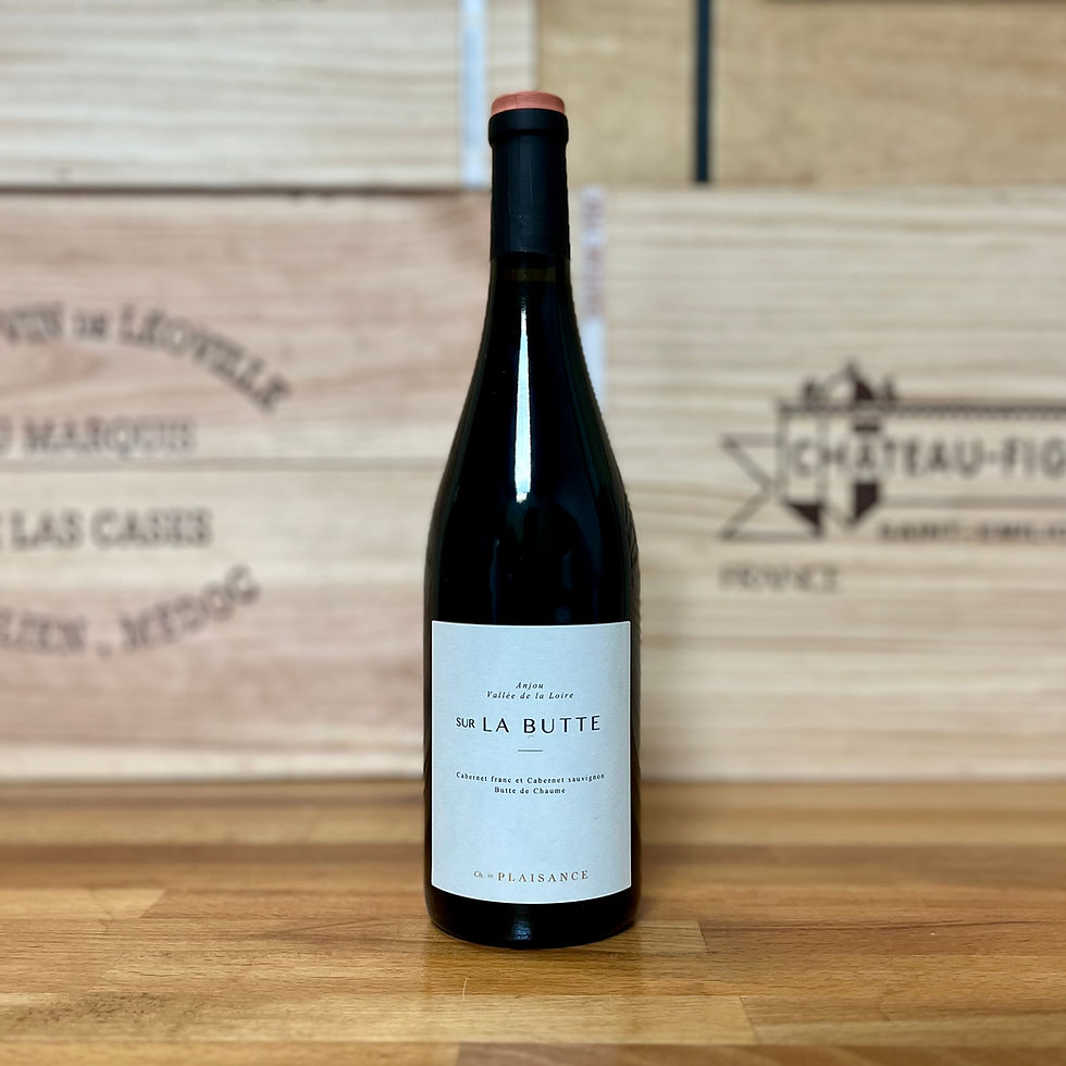 Château de Plaisance, Sur La Butte 2023,  Anjou Rouge